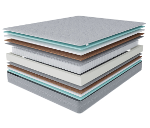 Столлайн / Матрас Тропикана-Тритон 800х1900